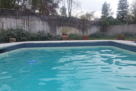 Clean swimming pool with a floatation device